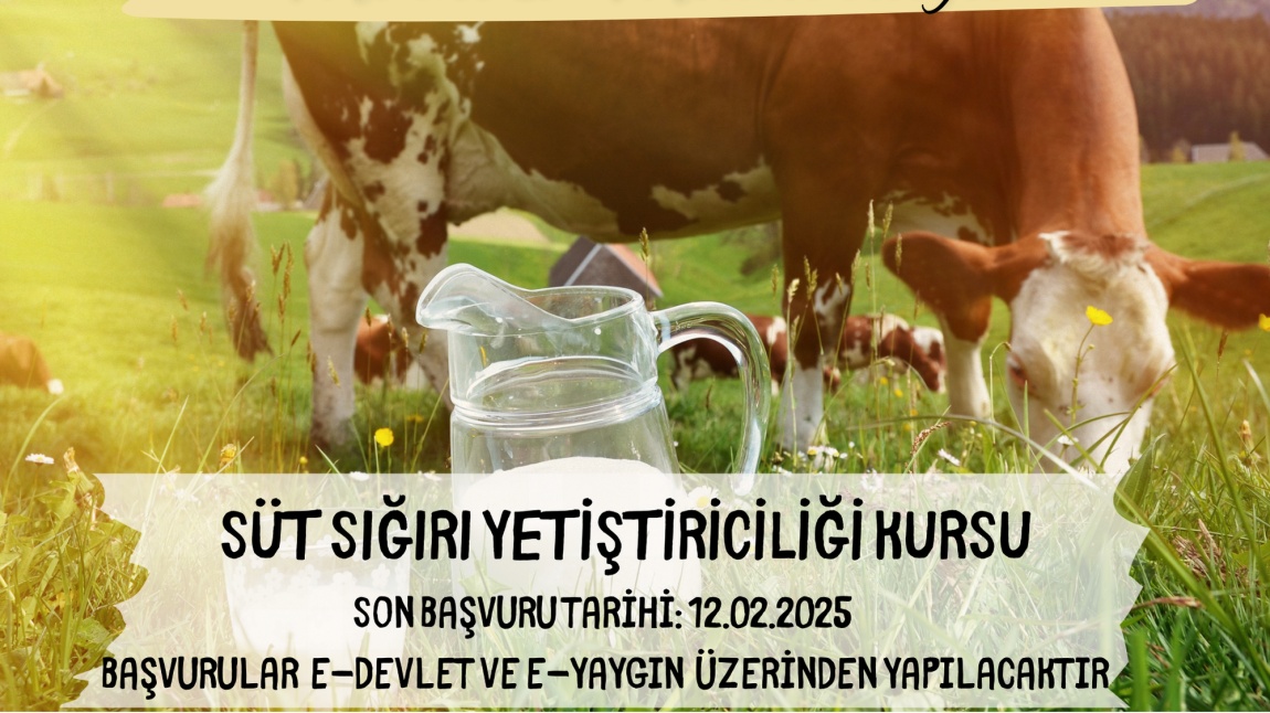 Süt Sığırı Yetiştiriciliği Kursu